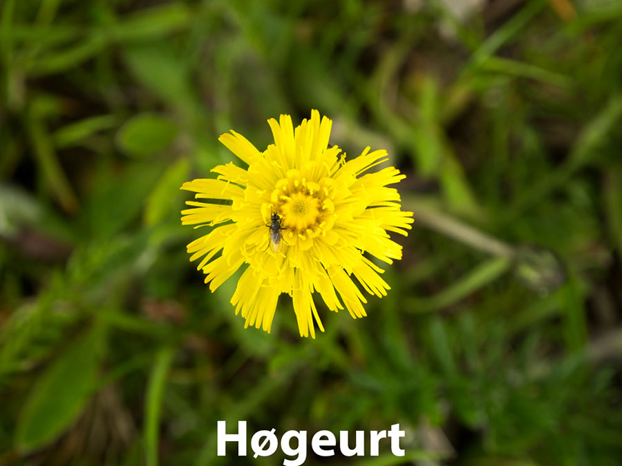 %_tempFileNamehoegeurt%